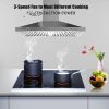 24 Inch Range Hood, Wall Mount Vent Hood in Stainless Steel with Ducted/Ductless Convertible Duct, 3 Speed Exhaust Fan, Energy Saving LED Light